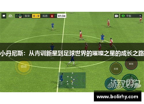 小丹尼斯：从青训新星到足球世界的璀璨之星的成长之路